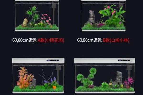 金鱼缸风水尾数功能鱼算不