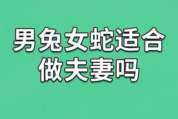蛇男狗女两生肖相配吗 蛇男狗女配对可行吗