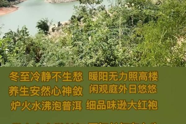 八字天注定，人生需冷静（四）