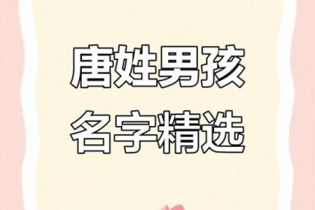 唐姓男孩名字大全-唐姓男孩起名字大全-唐姓名字大全姓名