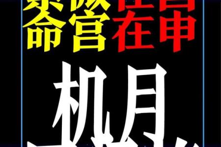 紫薇斗数大限将至