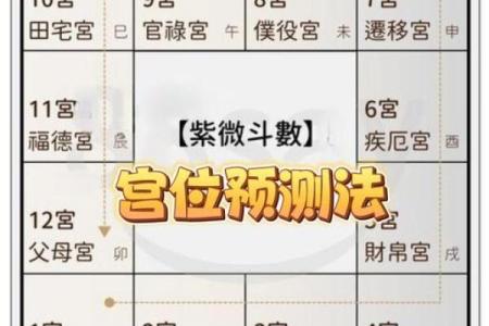 紫薇斗数怎么批命