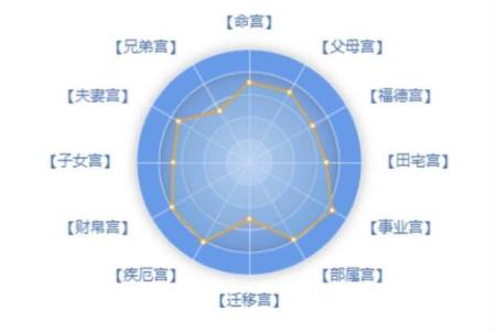 查紫薇斗数