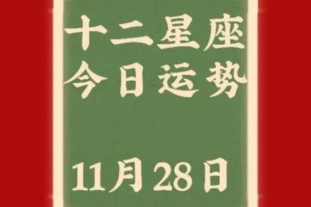 11月28日星座第一宫是什么