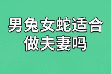 蛇男狗女两生肖相配吗 蛇男狗女配对可行吗