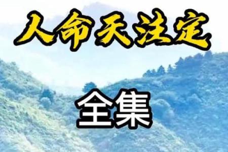 八字天注定，人生需冷静（四）