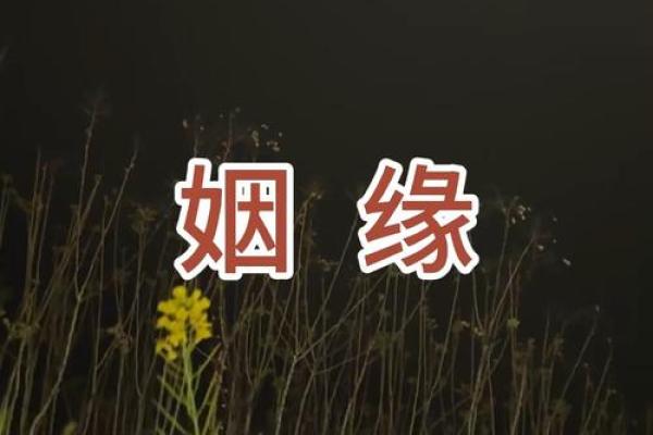 qq号姻缘