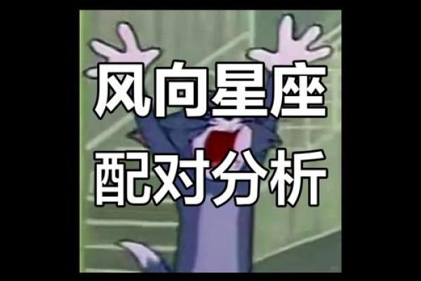风象星座的特点和性格 情商智商极高做事沉着冷静