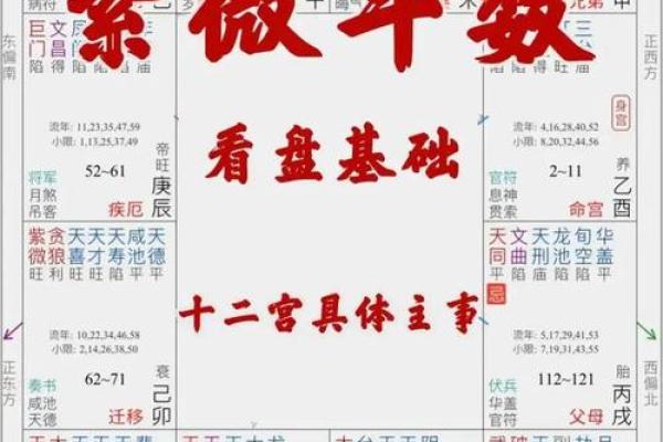 紫薇斗数中什么是子女宫