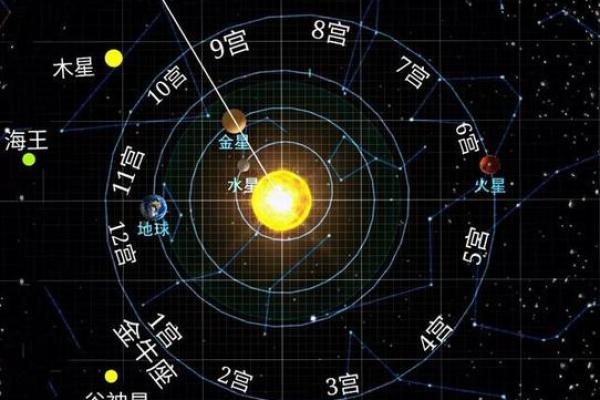 星座宫盘查询工具-详细解析你的生命盘