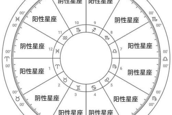 星座宫盘查询工具-详细解析你的生命盘