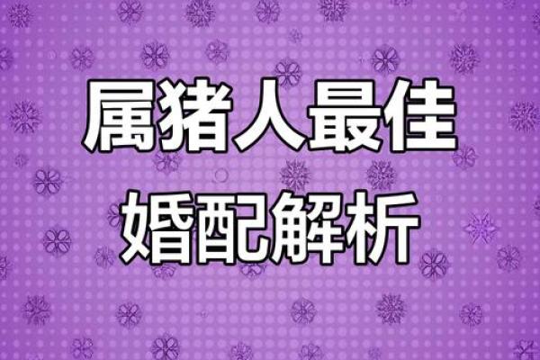 猪的生肖配对