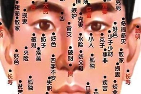通过脸算命