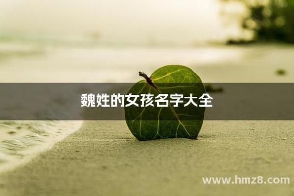 魏姓女孩生辰八字起名字  生辰八字起名免费网站