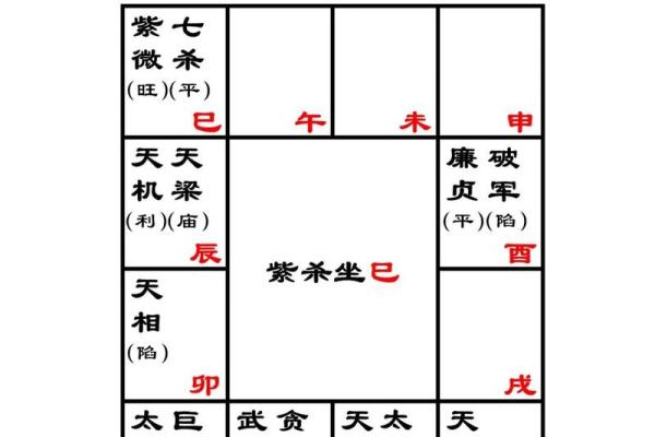 灵机紫薇斗数下载