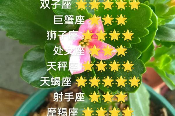 白羊座每月分析星座运势