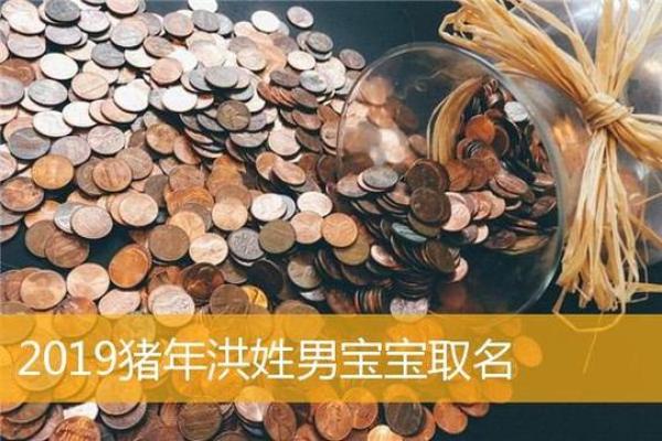 洪姓男孩名字大全-洪姓男孩起名字大全-洪姓名字大全姓名