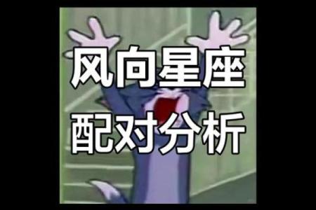 风象星座的特点和性格 情商智商极高做事沉着冷静