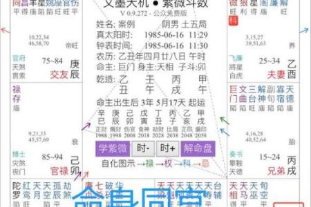 紫薇斗数紫薇入事业