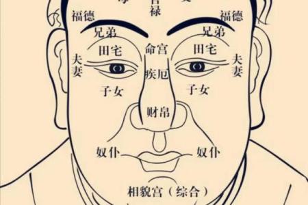 紫薇斗数代表小人