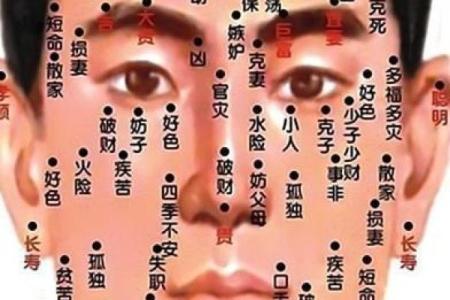 通过脸算命