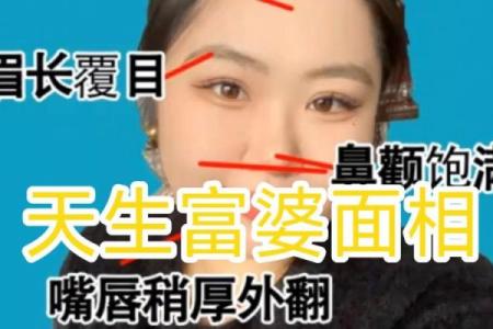 人脸算命