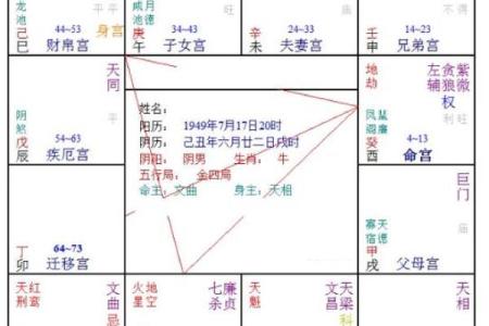 紫微斗数之疾厄宫与诸星，武曲星在疾病宫是什么意思？
