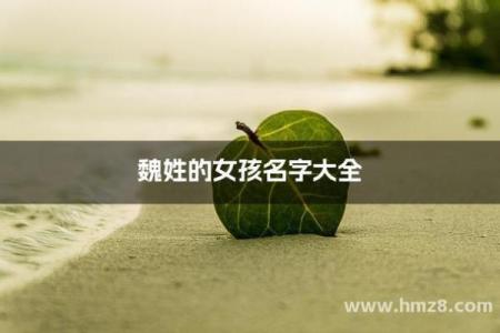 魏姓女孩生辰八字起名字  生辰八字起名免费网站