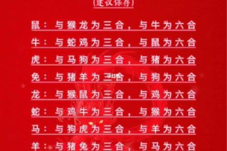 12生肖婚姻最佳配对 12生肖婚姻最佳配对表大全