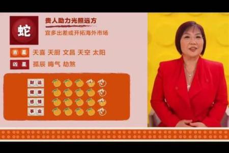 麦玲玲算八字,麦玲玲39元测运势准吗