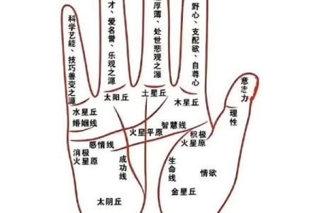 有横财偏财的手相女命八字