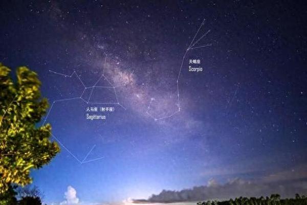 金星巨蟹星座运势