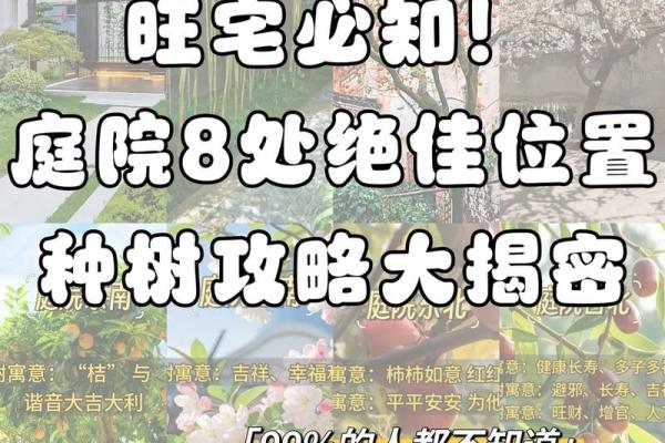 大门正确栽树方位，农村大门口栽树有讲究吗？