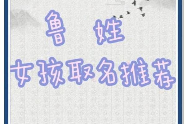 鲁姓男孩名字大全-鲁姓男孩起名字大全-鲁姓名字大全姓名