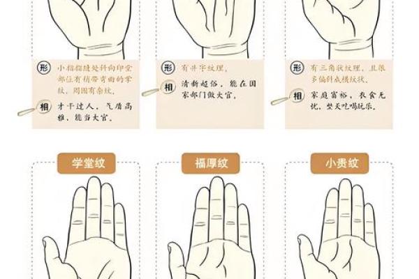 《手相学习百科》：指纹