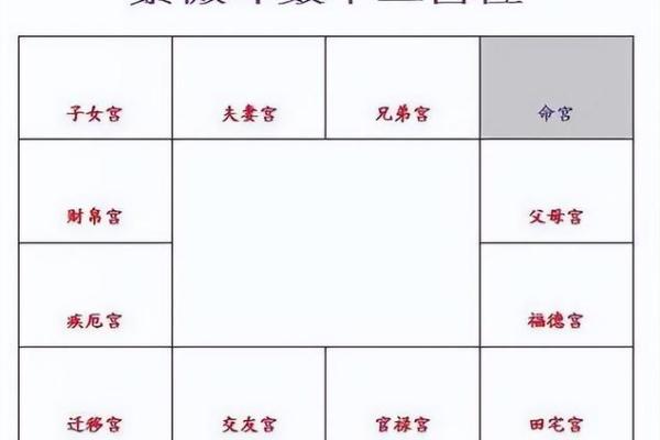 紫薇斗数不入格