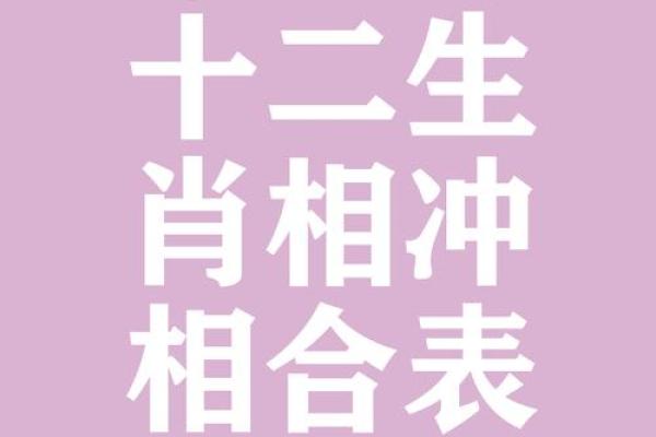 八字算命生肖相冲是什么意思