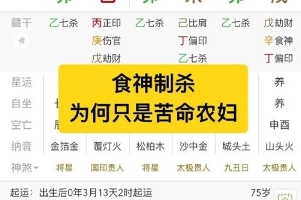 食神多的八字