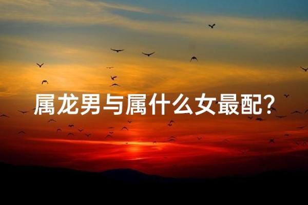 1988年属龙的婚姻配对 1988年属龙的最佳配偶