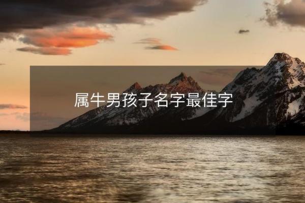 晚上出生的属牛男孩取名技巧大全姓名