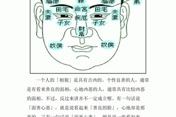 面相算命图解十二宫之：田宅宫