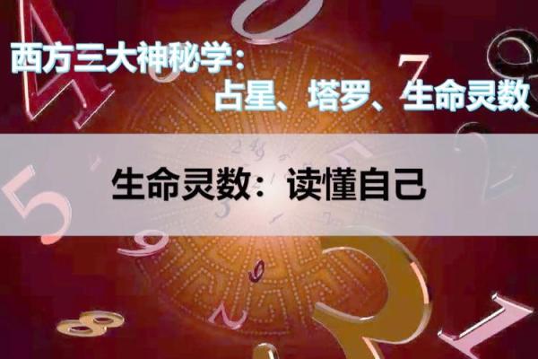 生命灵数5和7配对么