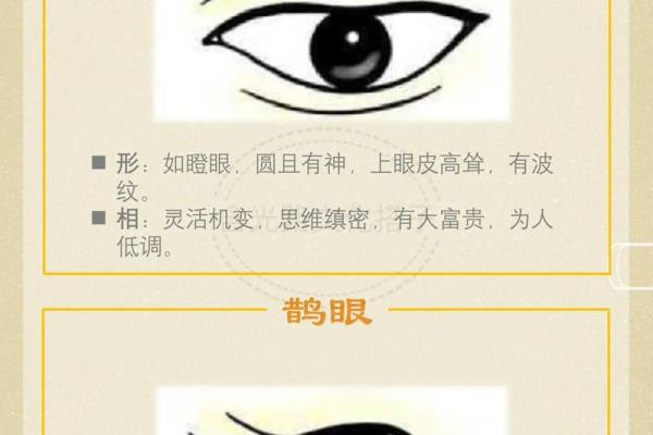 眼相算命图解大全