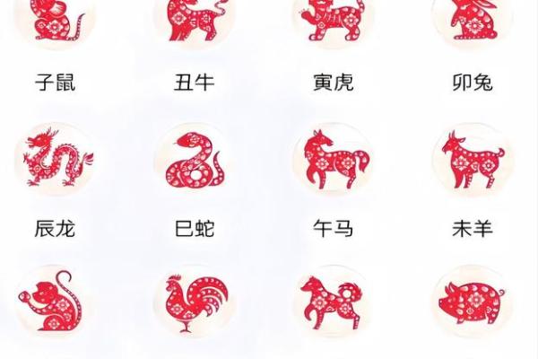 1月份出生的属猴男孩该怎么取名才好姓名