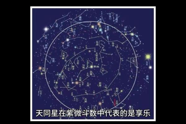 紫薇斗数的小限指的什么