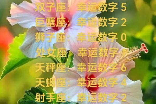 星座幸运数字越高越好吗