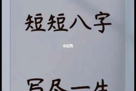 手机版八字