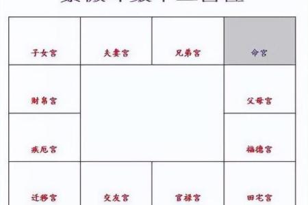 紫薇斗数不入格