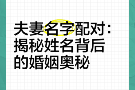 姓名配对测两人未来 姓名配对测试两人未来？