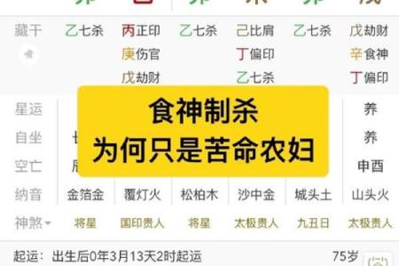 食神多的八字